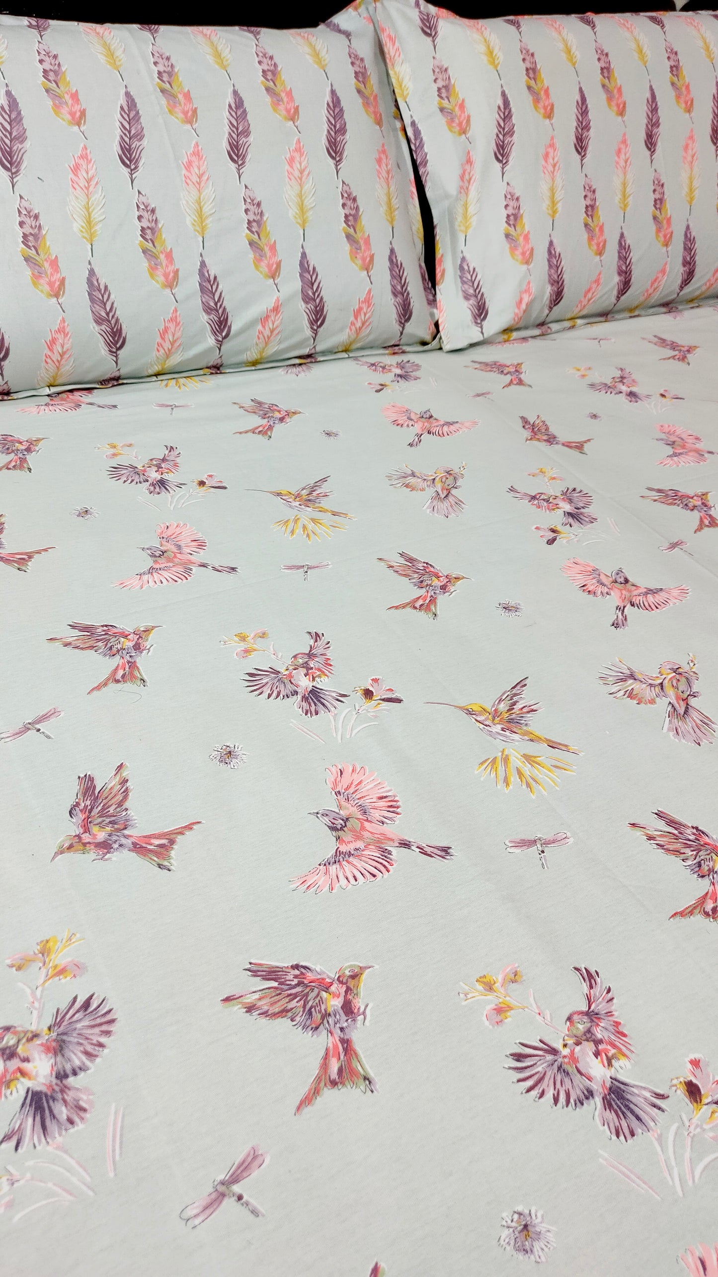 Romeo 100% Cotton Double Bedsheet King Size - Grey Robin