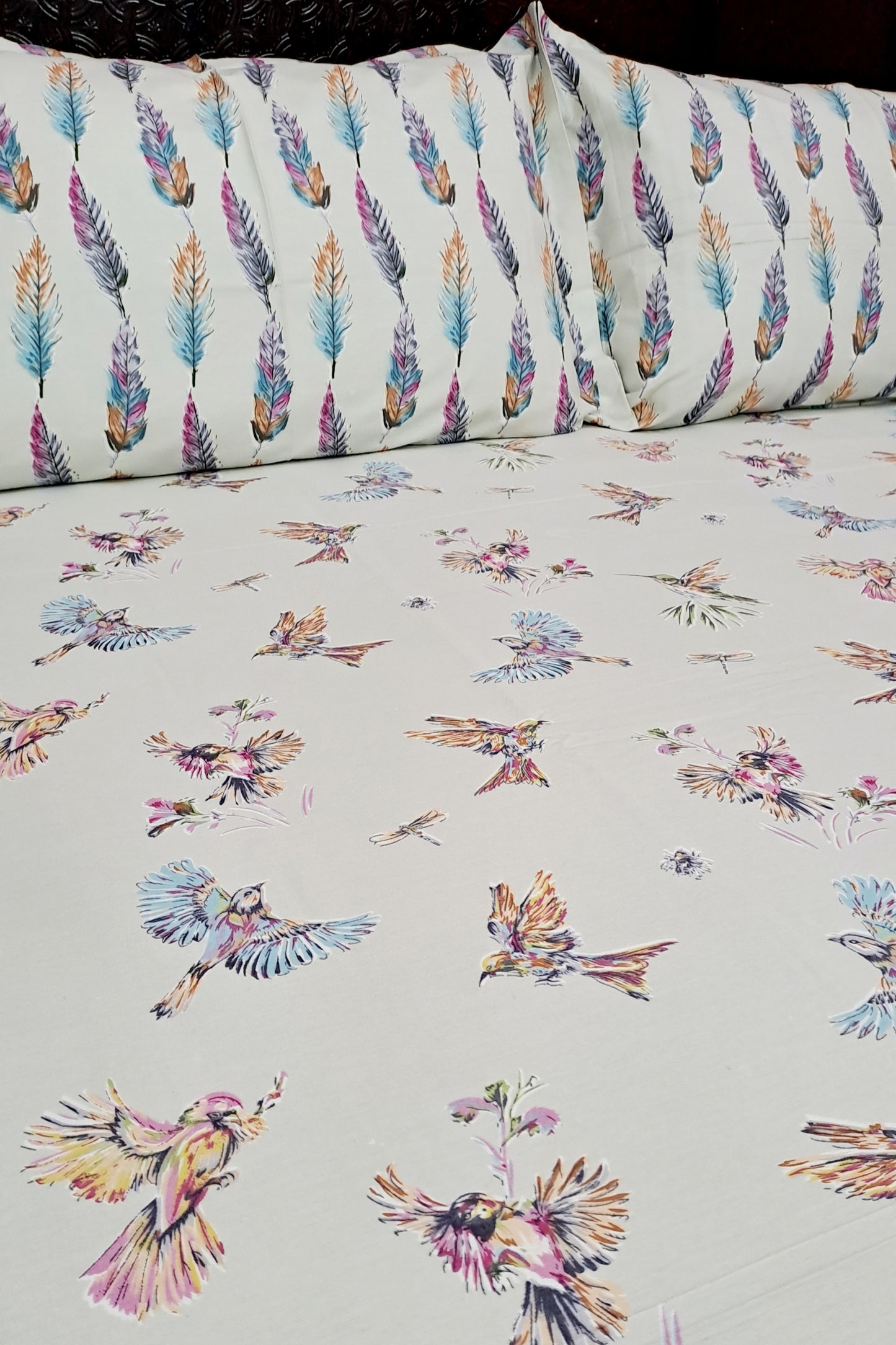 Romeo 100% Cotton Double Bedsheet King Size Bedsheet - Blue Robbin