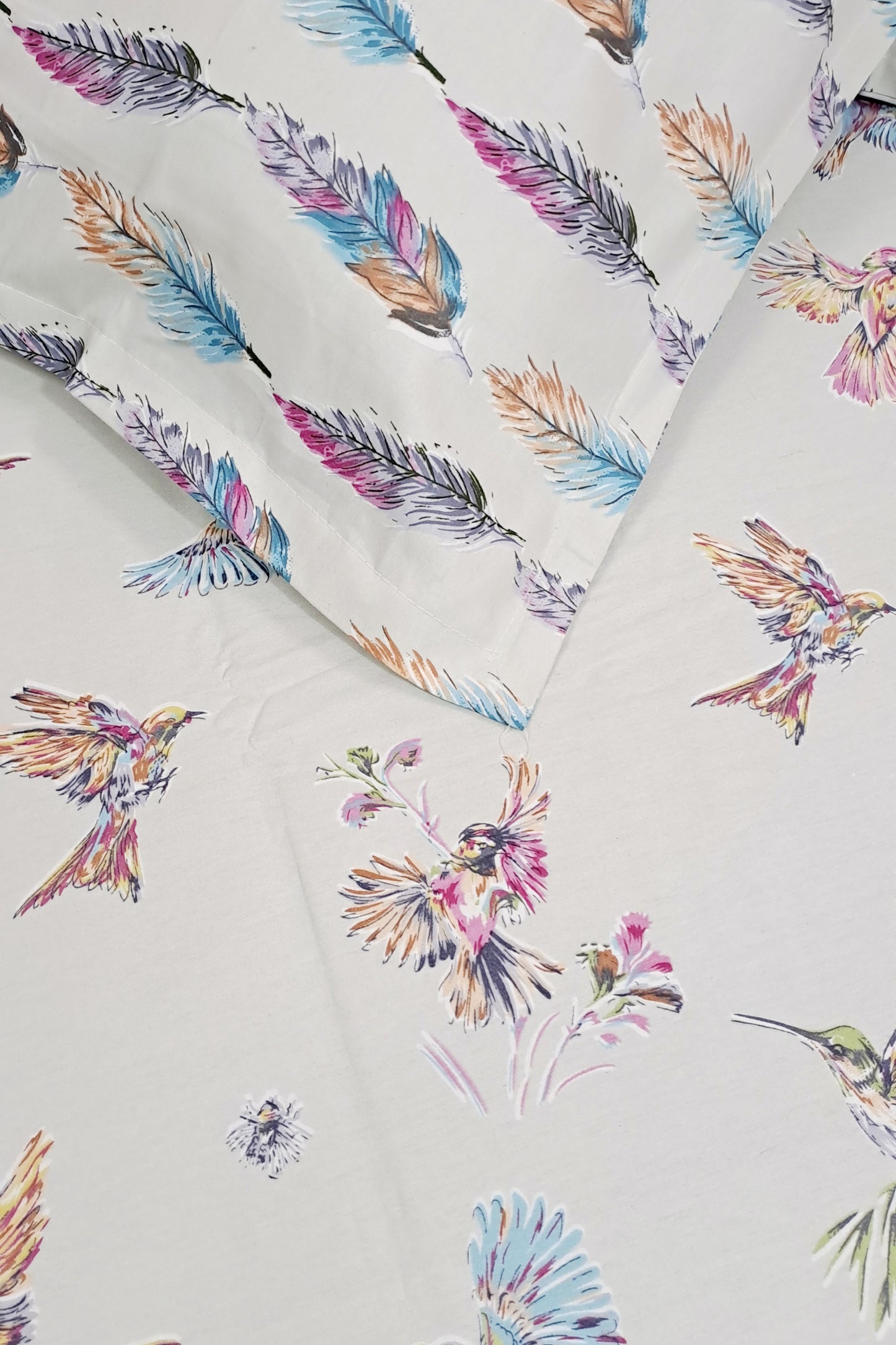 Romeo 100% Cotton Double Bedsheet King Size Bedsheet - Blue Robbin