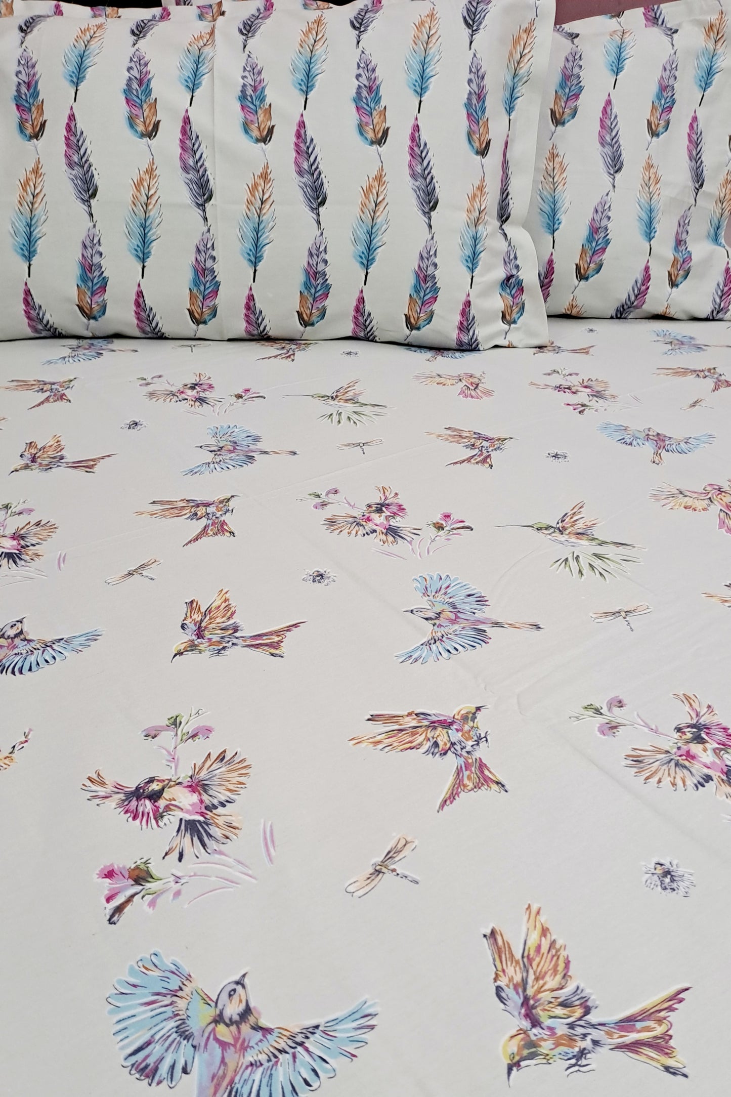Romeo 100% Cotton Double Bedsheet King Size Bedsheet - Blue Robbin