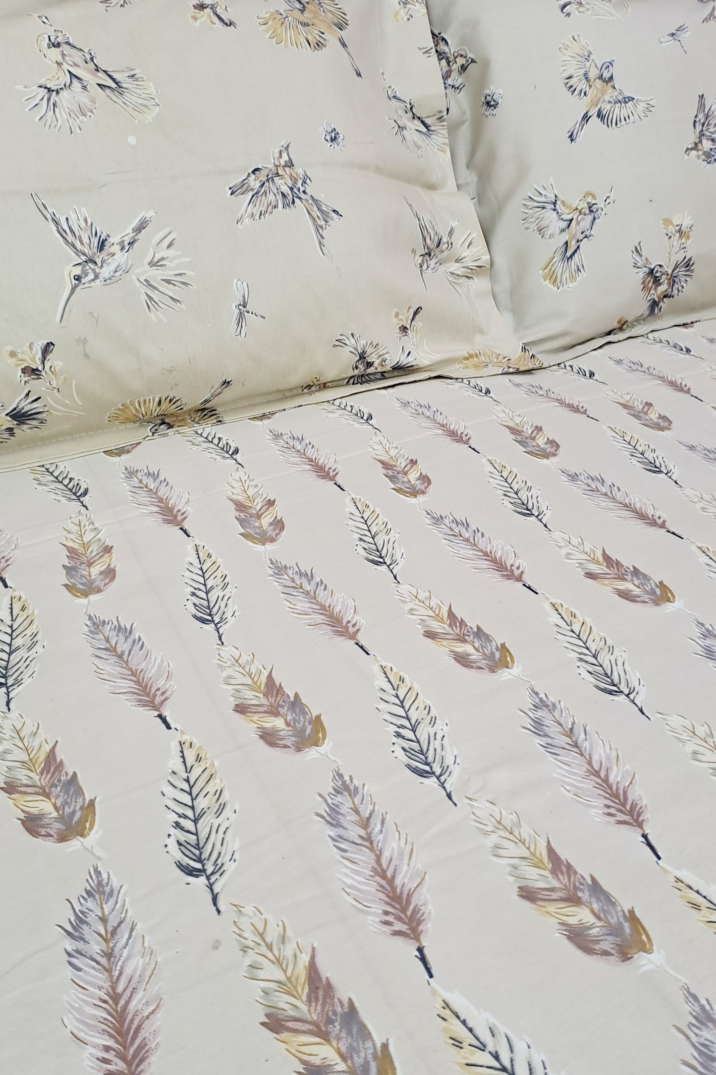 Romeo 100% Cotton Double Bedsheet King Size- Off White Feather